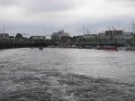100_4561.JPG
