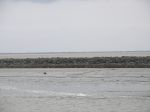 100_4718.JPG