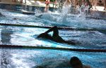 DSC_1745.JPG