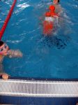 RubberDuck06_0011.JPG