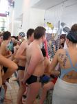 RubberDuck06_0019.JPG