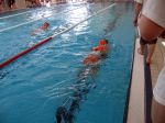 RubberDuck06_0023.JPG
