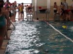 RubberDuck06_0046.JPG